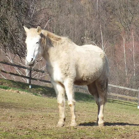 Stefanshof
