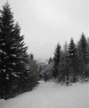 Pensión Stefanshof 3*