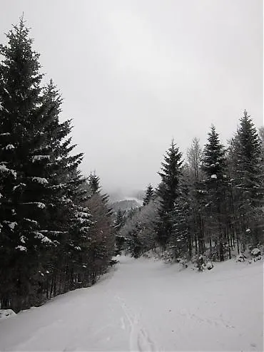 Pensjonat Stefanshof 3*